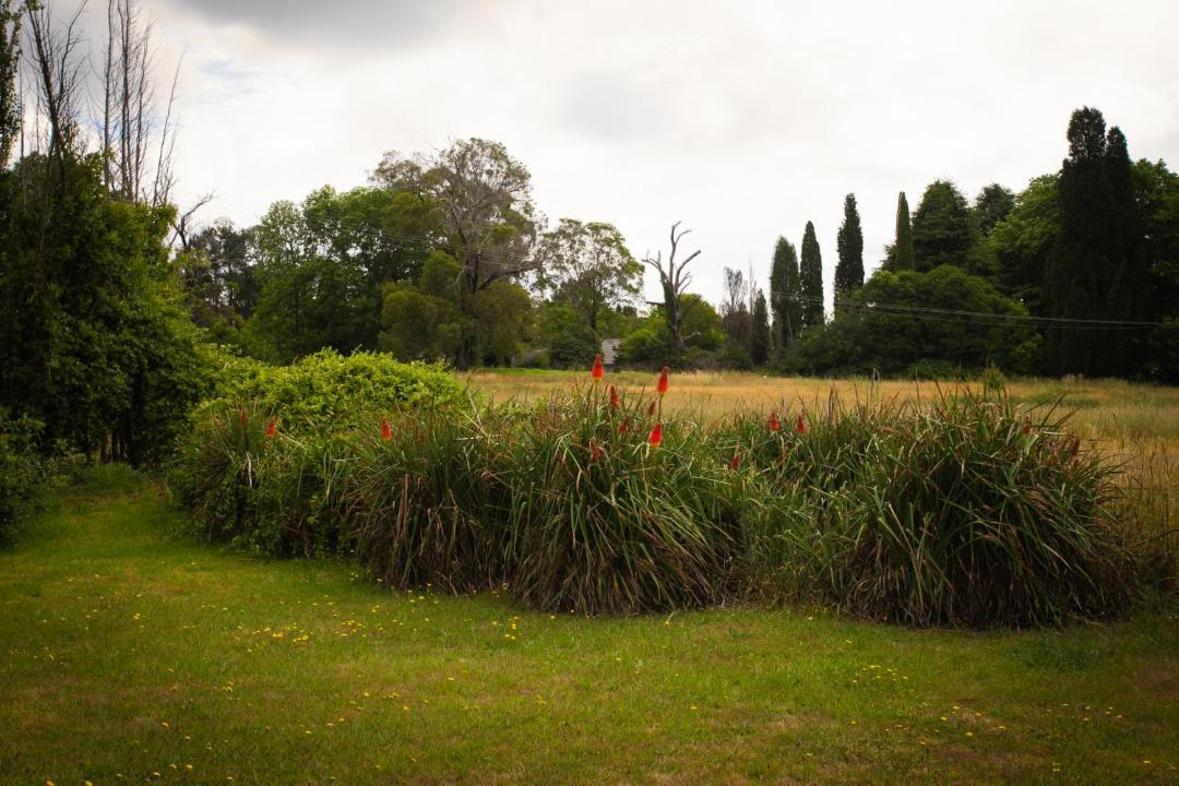 Photo of Others in Bowral