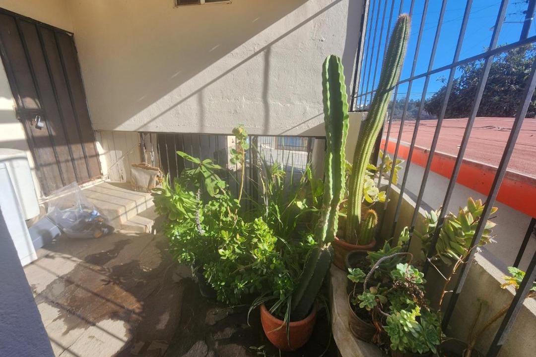 Photo of Patio Balcony in Ensenada