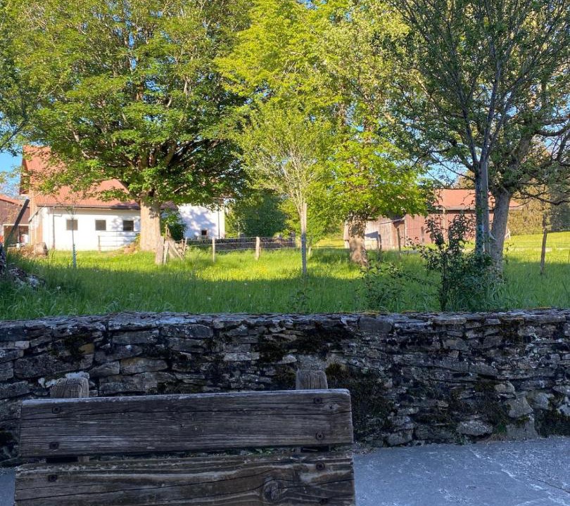 Photo of Others in Le Bemont