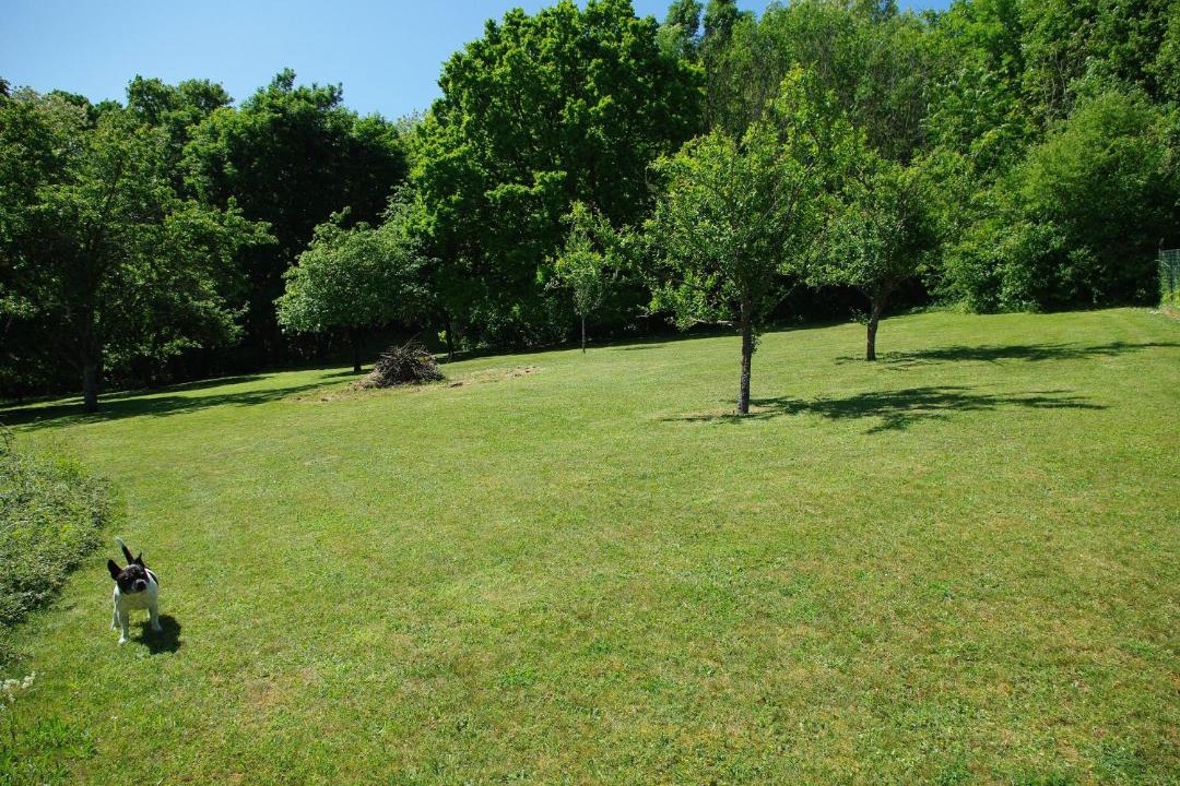 Photo of Others in Belleville