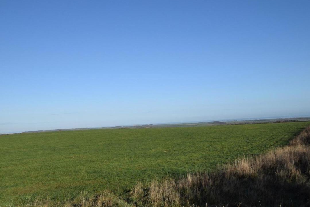 Photo of Others in Wandylaw