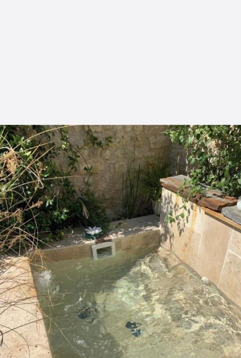 Photo of Others in Ozoir-le-Breuil