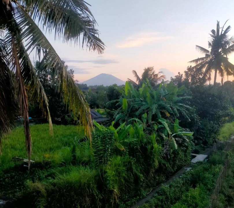 Photo of Others in Penestanan