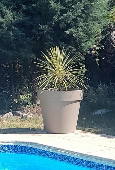 Photo of Others in Portes-en-Valdaine