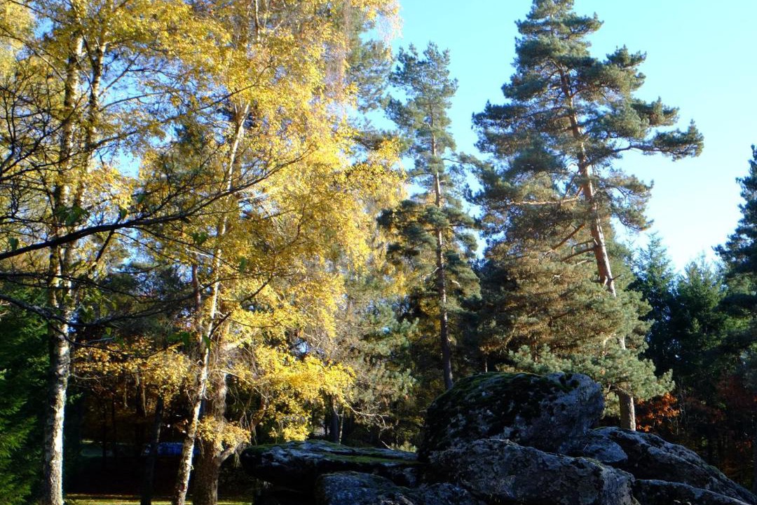 Photo of Others in Saint-Yrieix-le-Dejalat