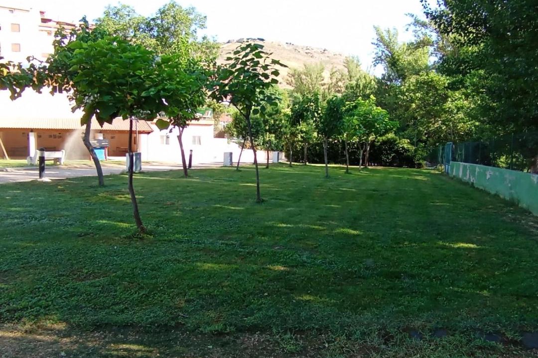 Photo of Others in Canizar del Olivar