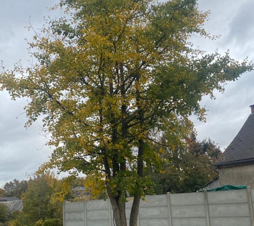 Photo of Outdoor in Felleries