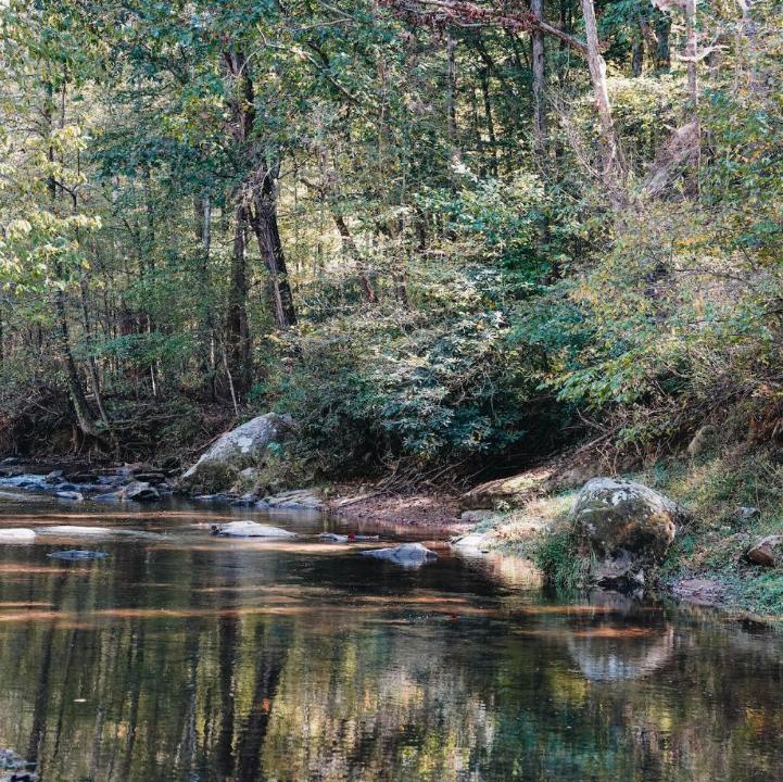 Photo of Others in Ellijay