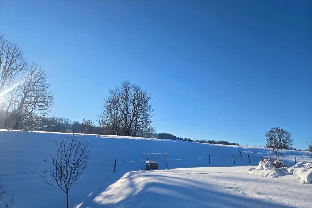 Photo of Others in Foncine-le-Haut