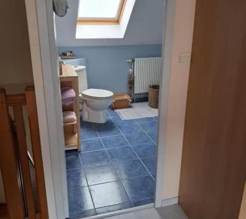 Photo of Others in Flore