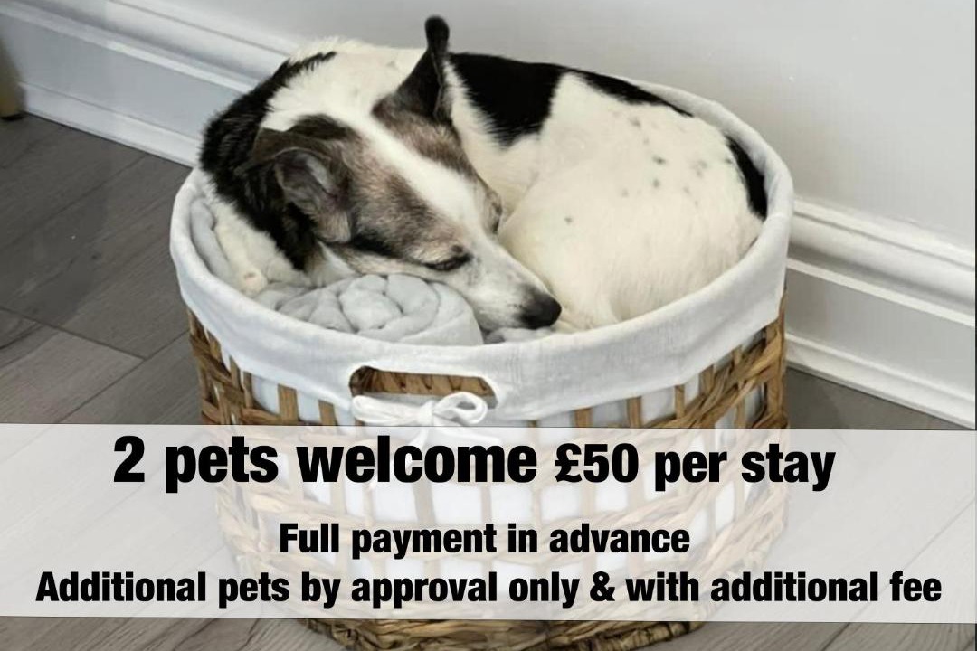 Photo of Others in St. Brides Netherwent