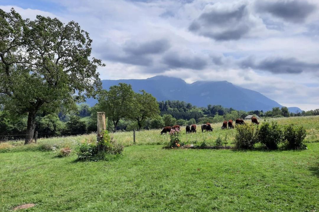 Photo of Others in Miribel-les-Echelles