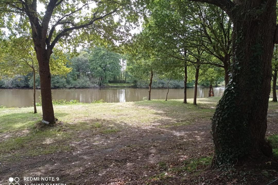 Photo of Others in Sainte-Reine-de-Bretagne