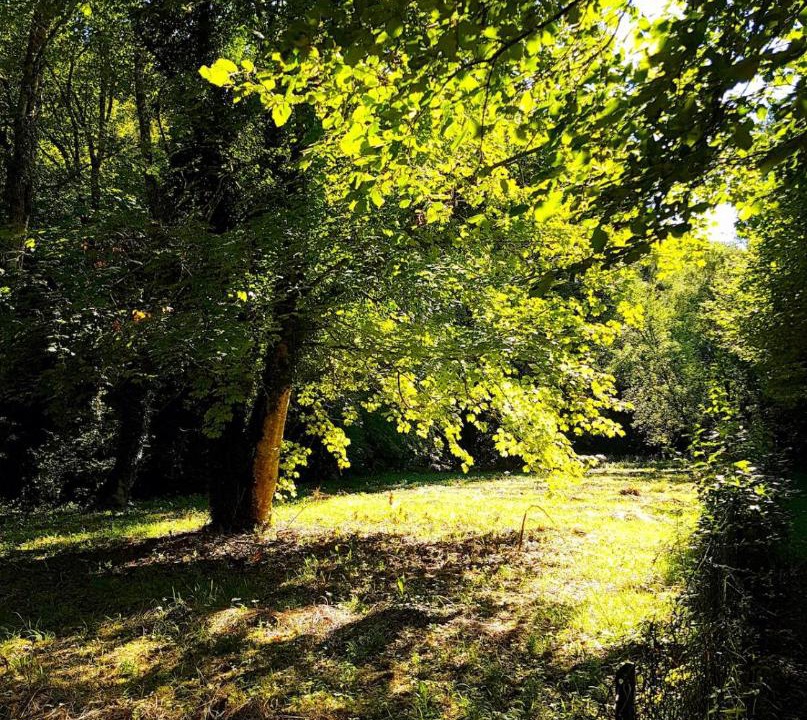 Photo of Others in Recey-sur-Ource