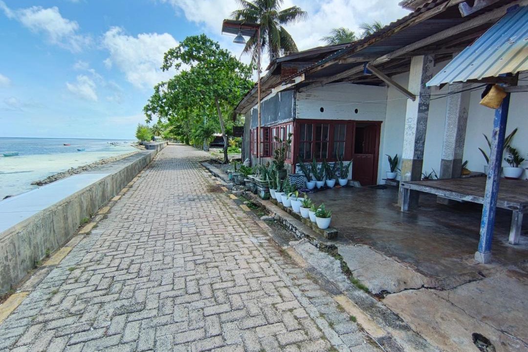 Photo of Others in Tomia Island