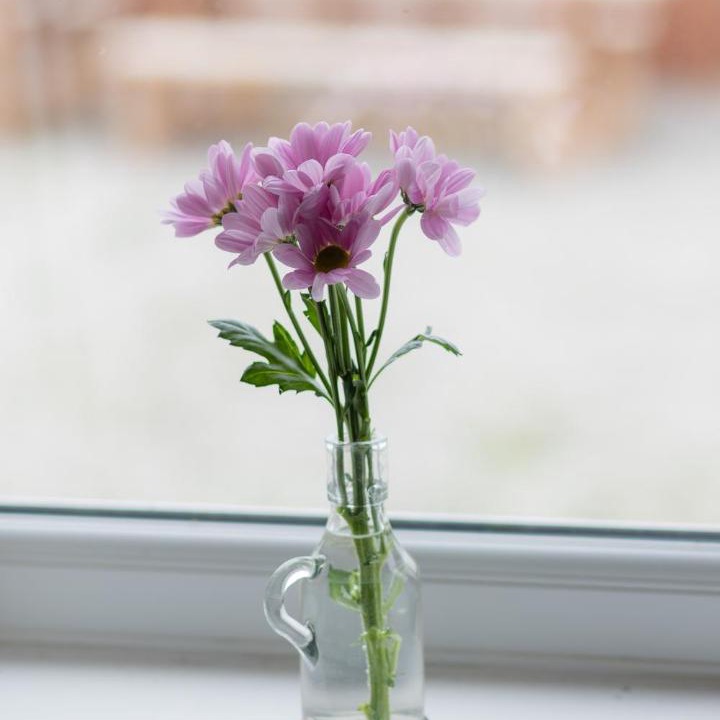 Photo of Others in Llannefydd