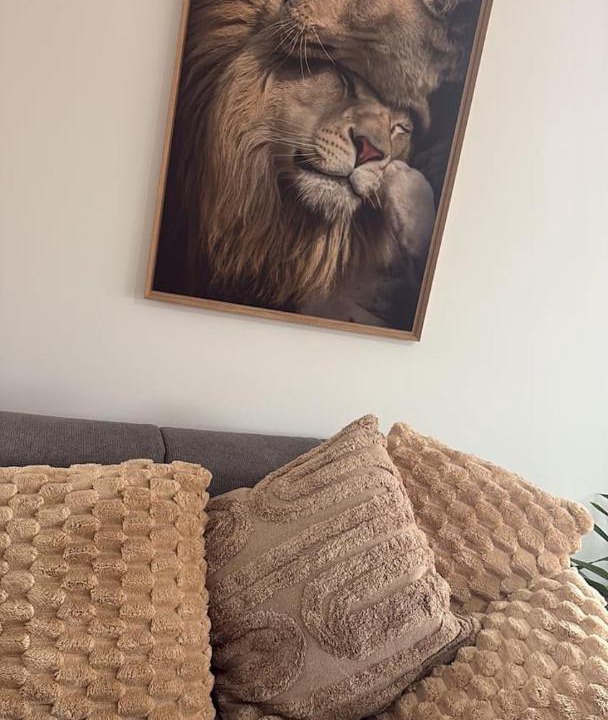 Photo of Others in Moyenmoutier