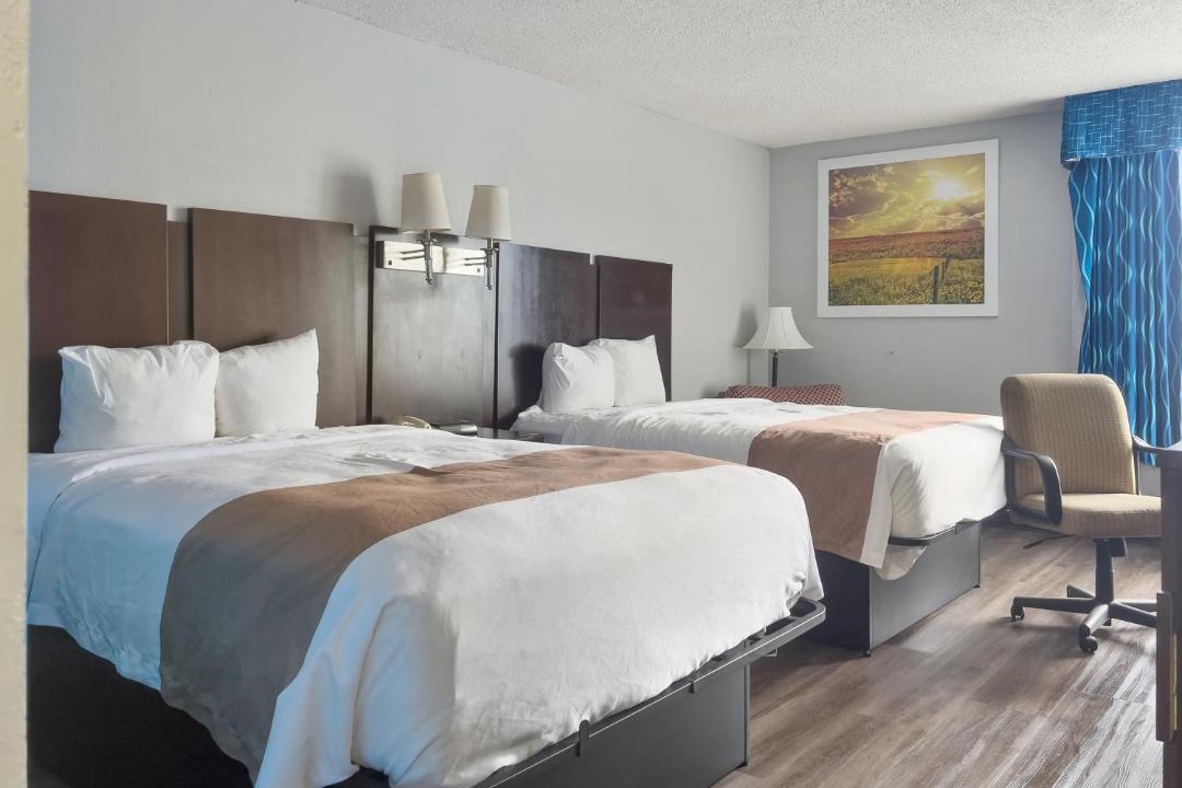 Photo of Bedroom in Havelock