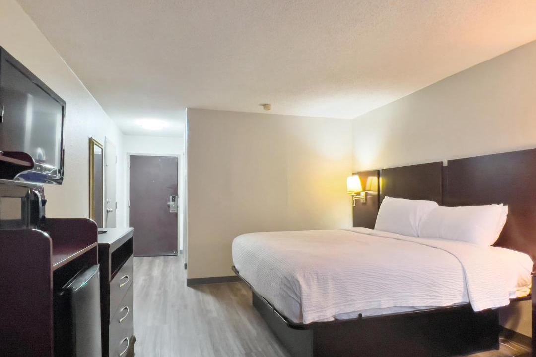 Photo of Bedroom in Havelock