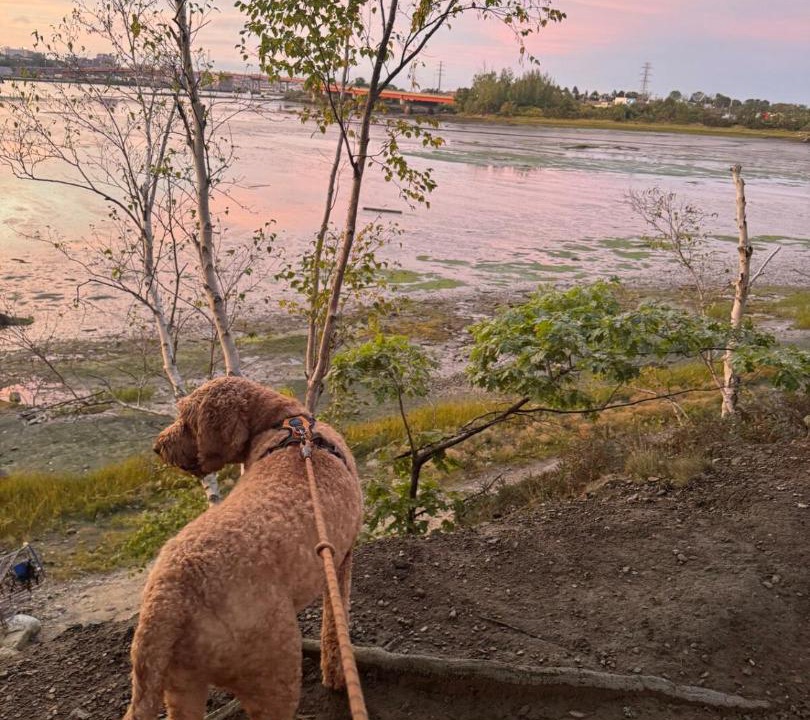 Photo of Others in South Portland