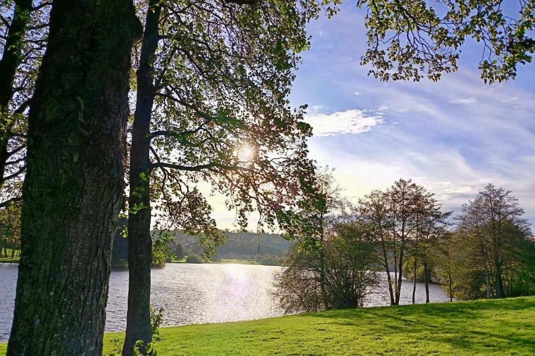 Photo of Others in Marcey-les-Greves