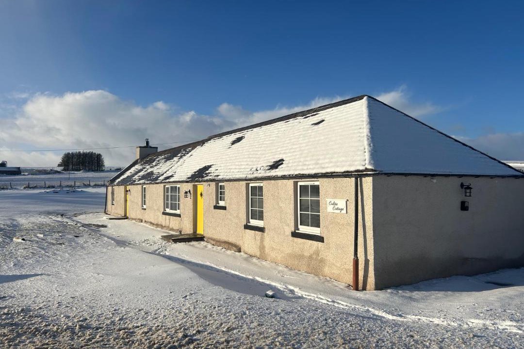 Photo of Others in Huntly