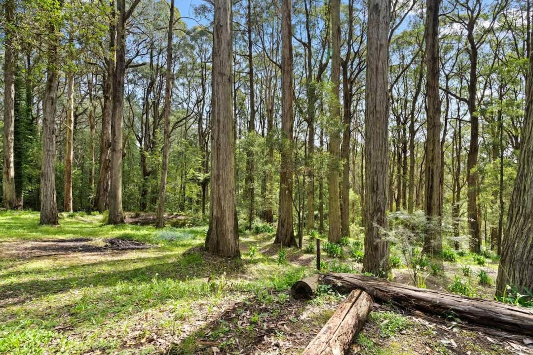 Photo of Others in Sassafras