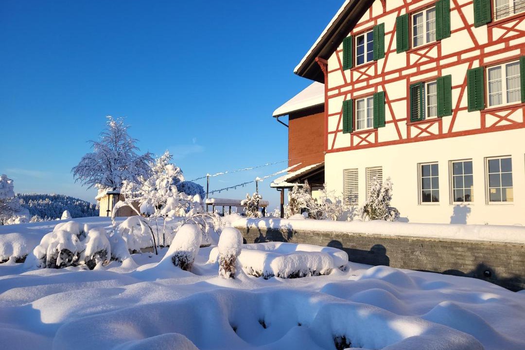 Photo of Others in Pfaffikon District