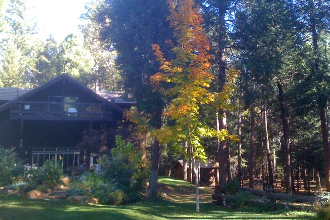 Photo of Others in Nevada City