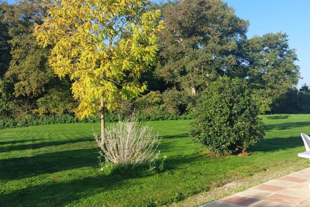 Photo of Others in Saint-Georges-du-Bois