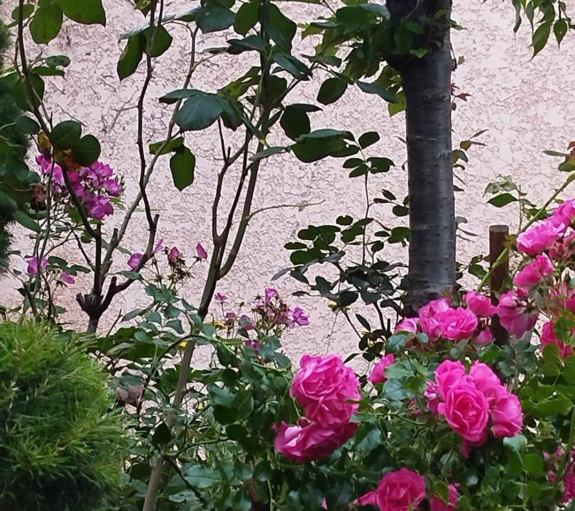 Photo of Others in Amberieu-en-Bugey