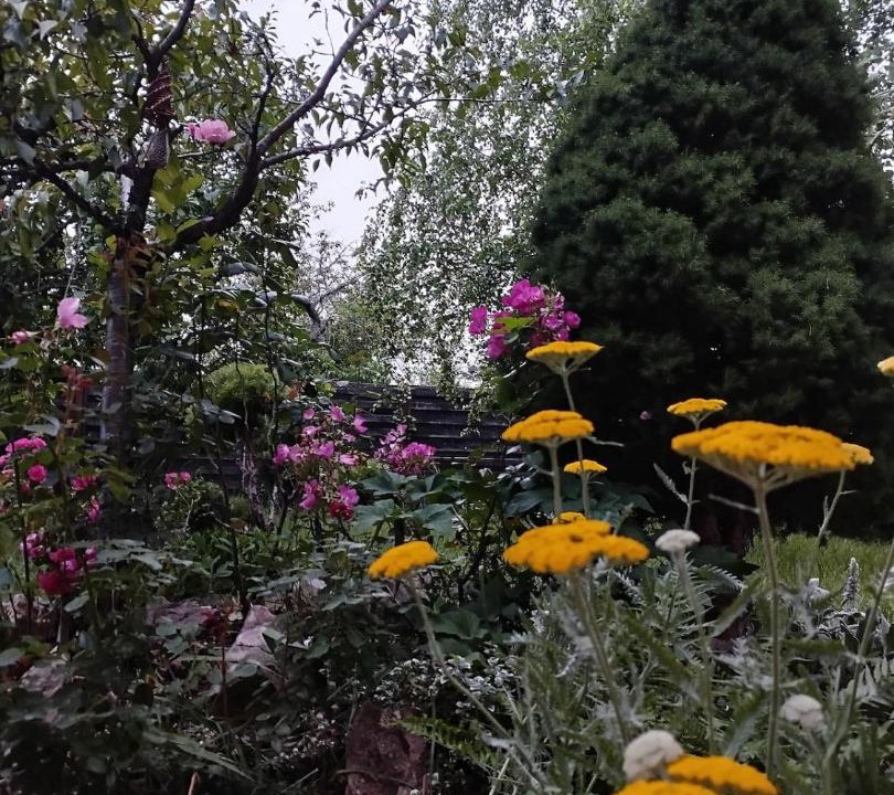 Photo of Others in Amberieu-en-Bugey