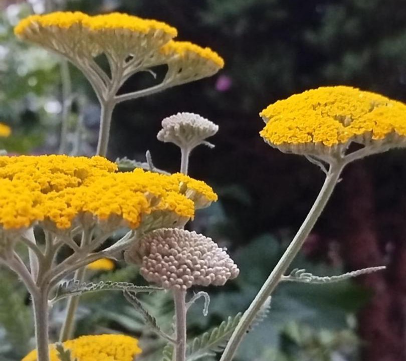 Photo of Others in Amberieu-en-Bugey