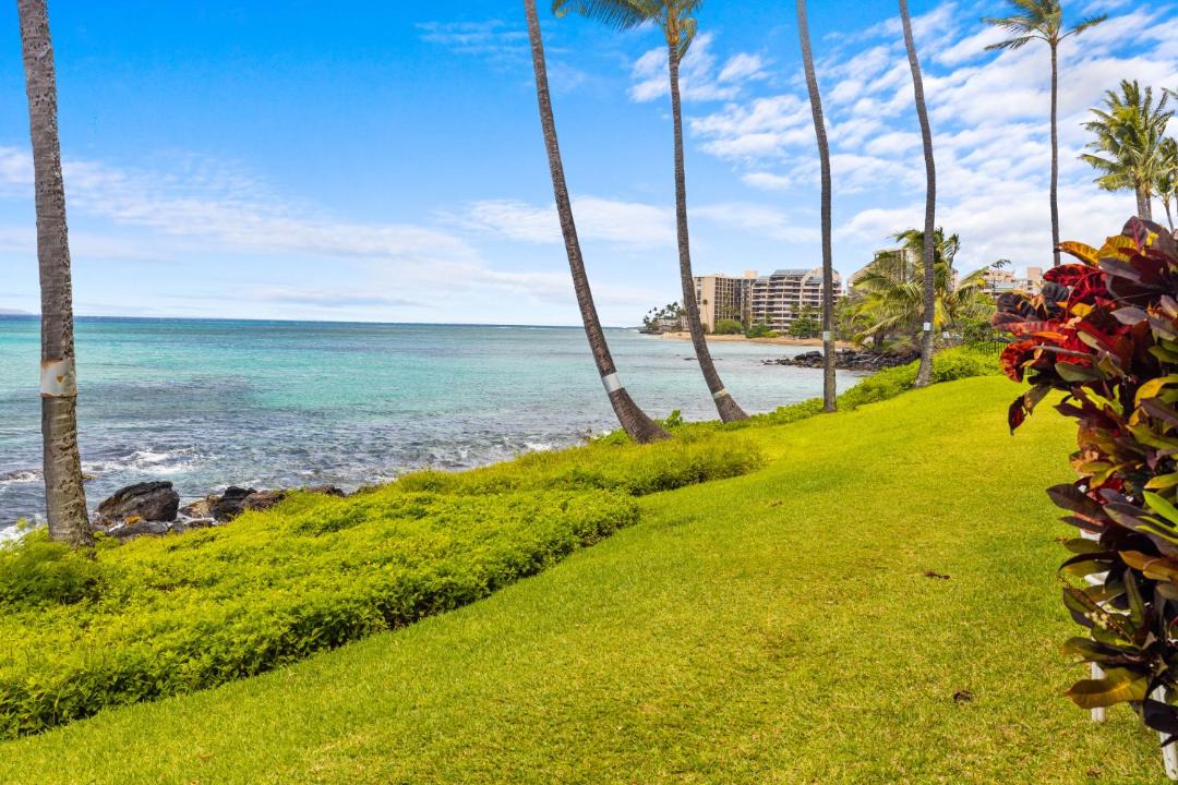 Photo of Others in Kahana