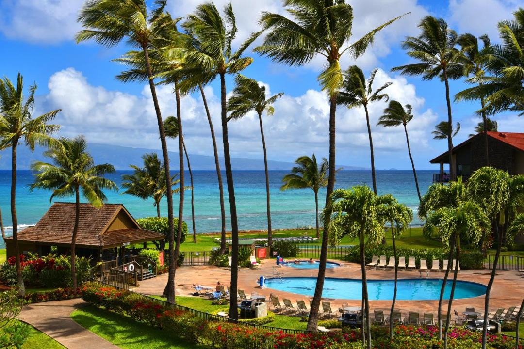 Photo of Others in Honokowai