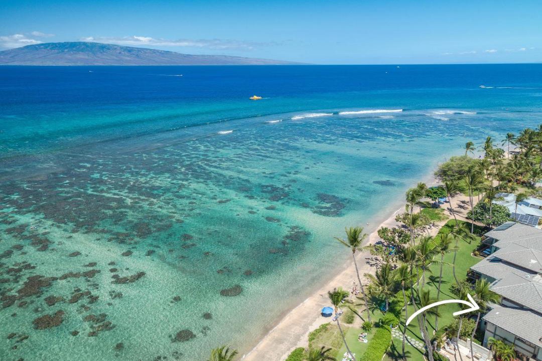 Photo of Others in Historic Lahaina Front Street