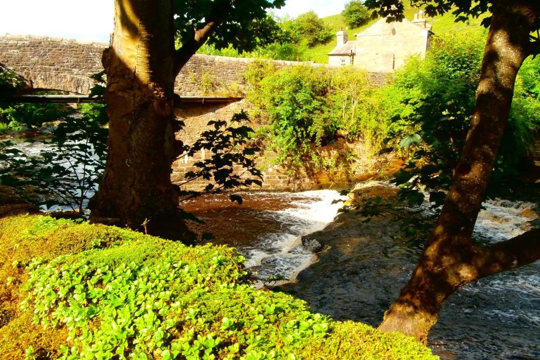 Photo of Others in Bainbridge