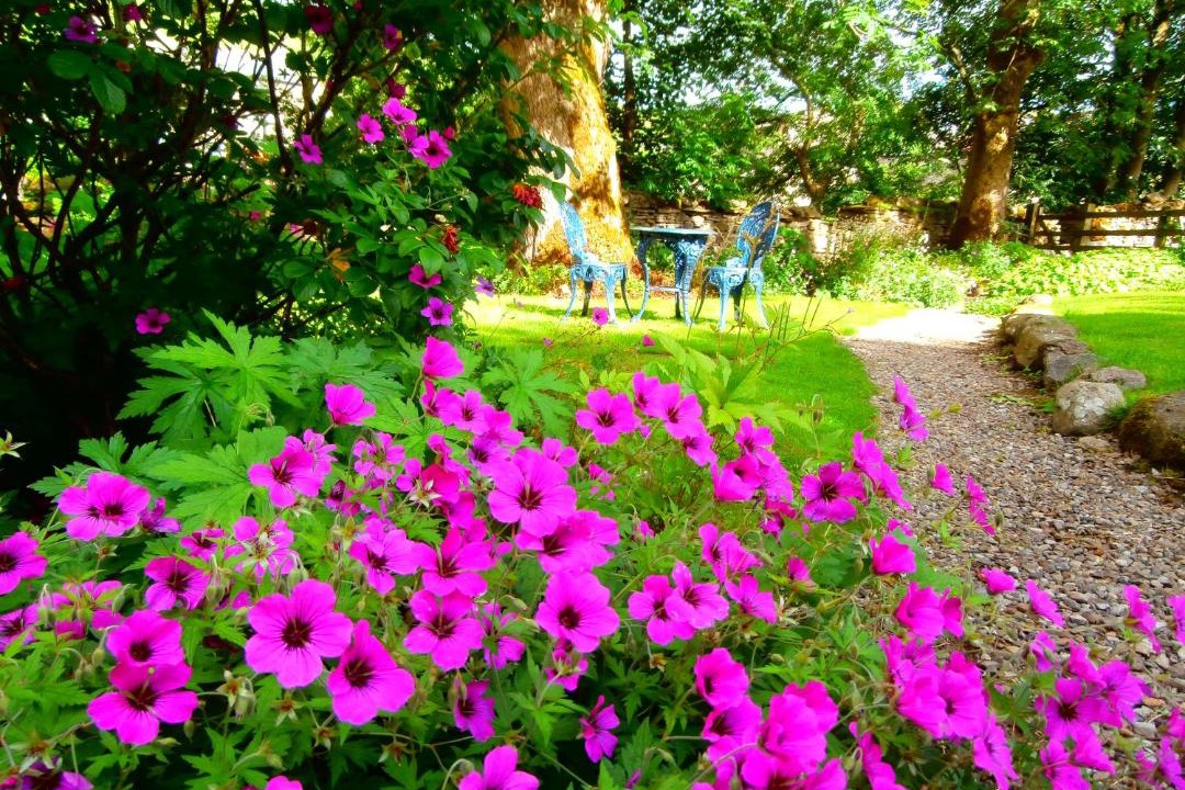 Photo of Others in Bainbridge