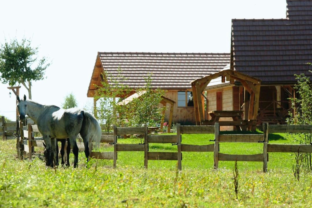 Photo of Others in Saint-Fargeau