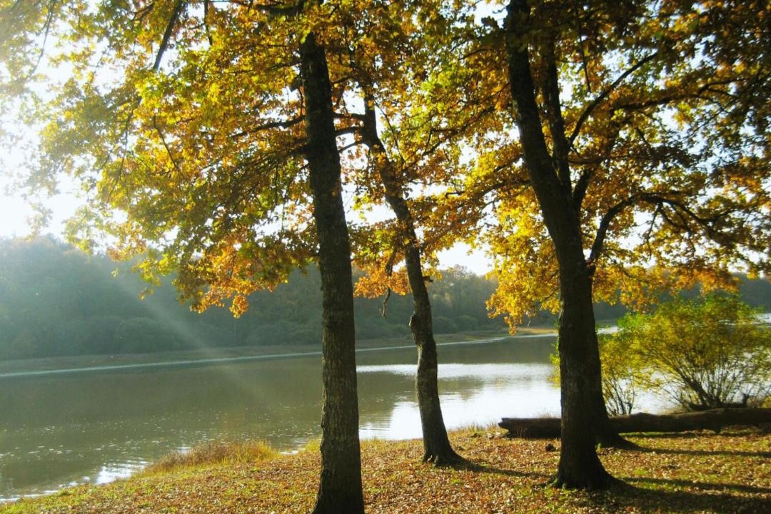 Photo of Others in Saint-Fargeau