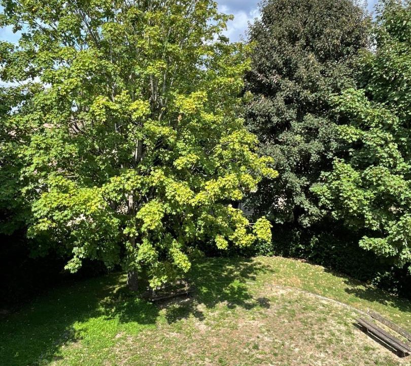 Photo of Others in Torcy-le-Grand