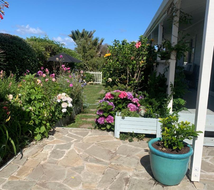 Photo of Others in Hahei