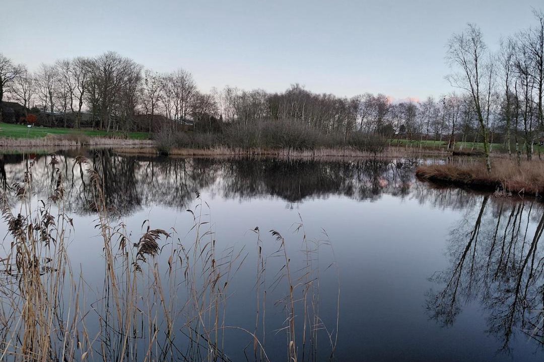 Photo of Others in Grindsted