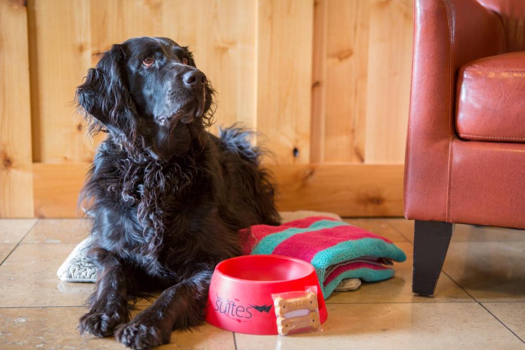 Photo of Others in Bend