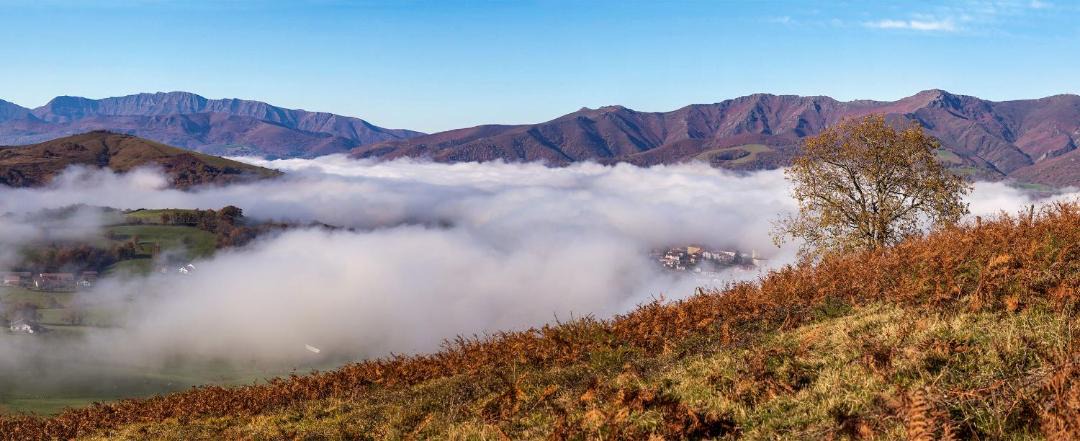 Photo of Others in Macaye