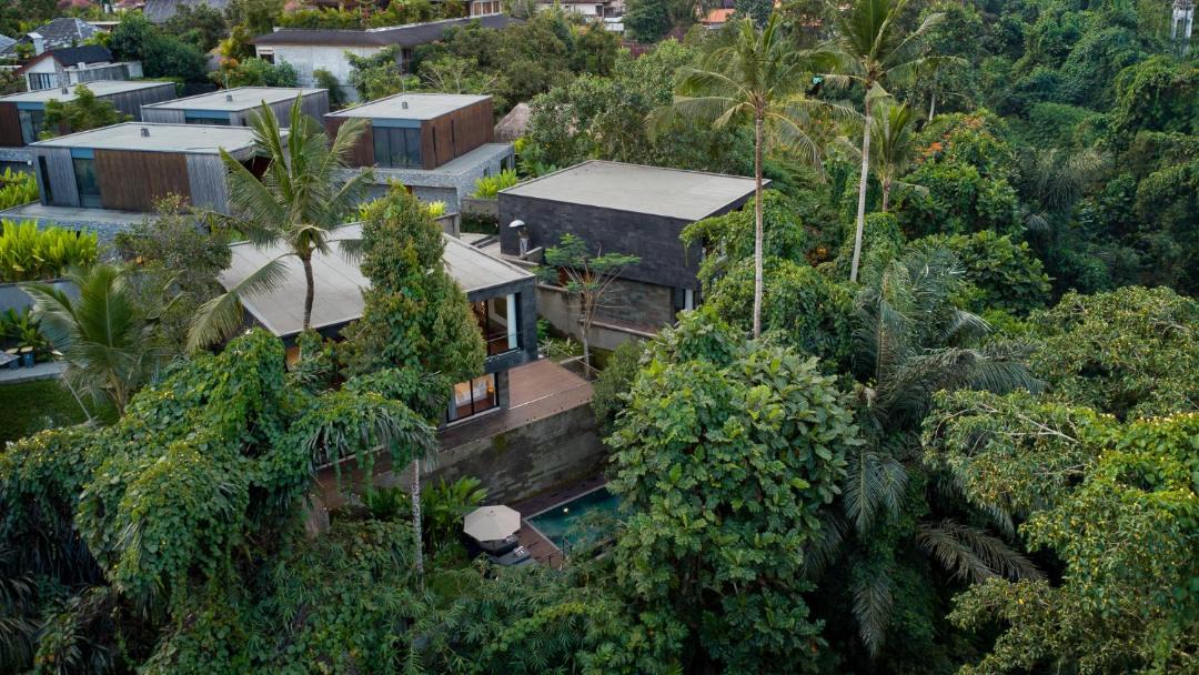 Photo of Others in Ubud