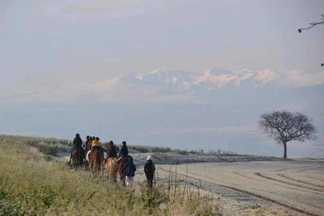 Photo of Others in Vic-le-Comte