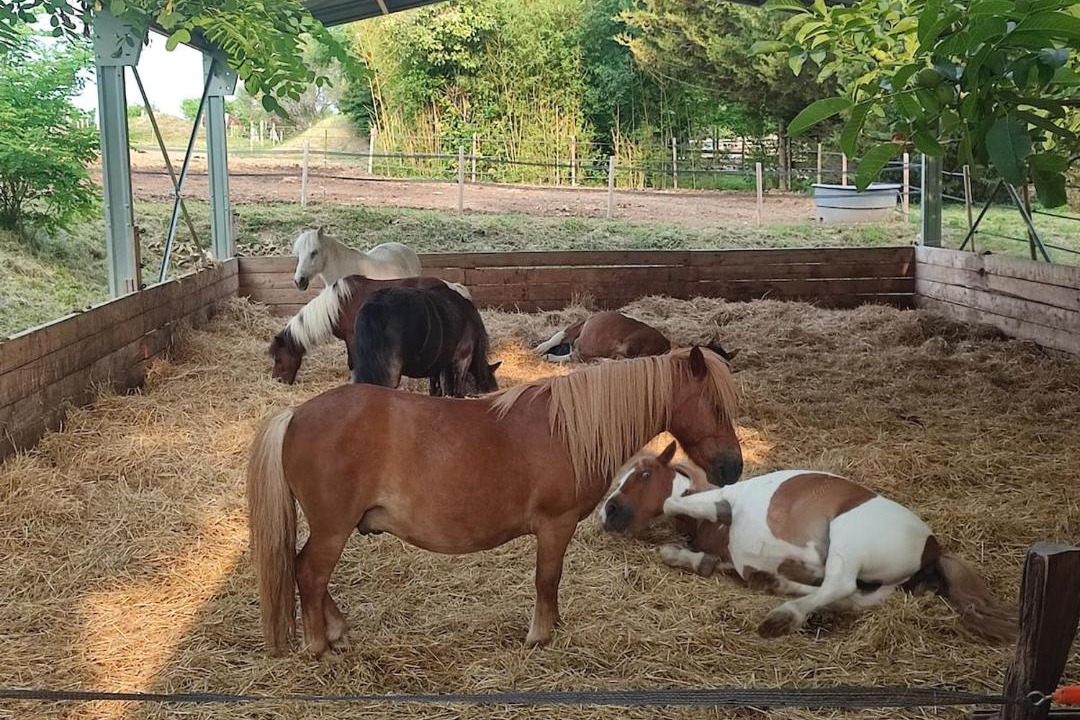 Photo of Others in Vic-le-Comte