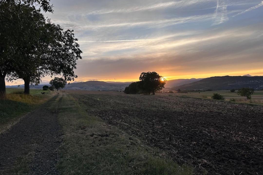 Photo of Others in Vic-le-Comte