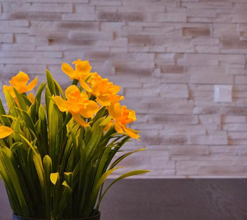 Photo of Others in Joigny